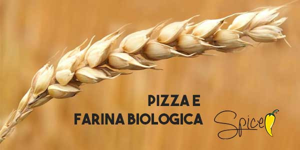Farine biologique dans la pizza : goût, durabilité et choix conscients