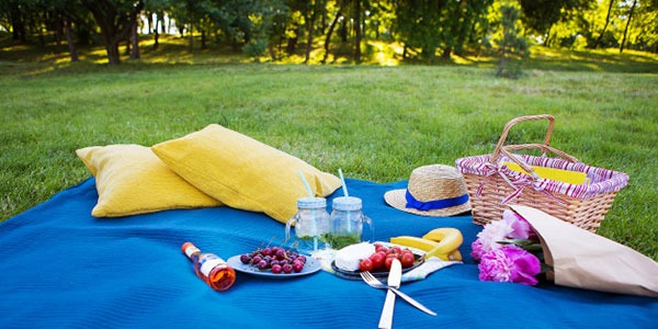 Picnic outside the city: how to best organize yourself